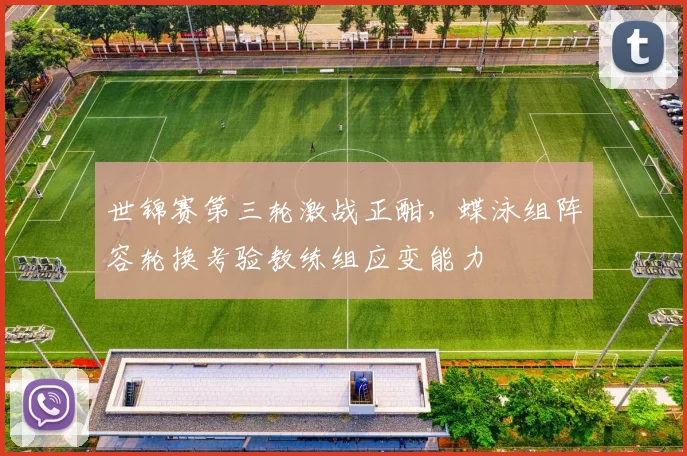 世锦赛第三轮激战正酣，蝶泳组阵容轮换考验教练组应变能力