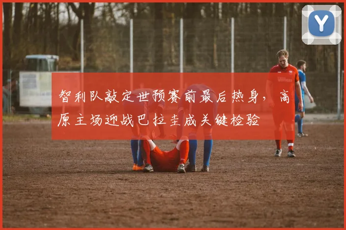 智利队敲定世预赛前最后热身，高原主场迎战巴拉圭成关键检验